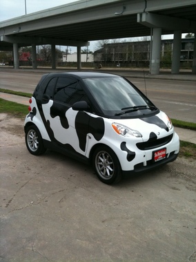 Cow Smart Car