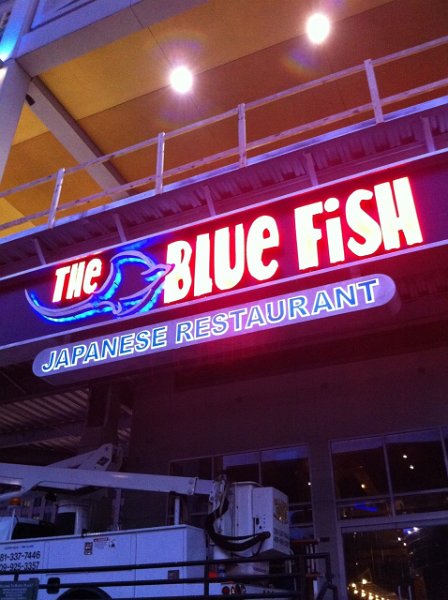 The Blue Fish Japanese Restaurant Night
